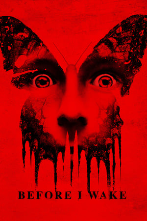 Before I Wake (2016) Hindi Dual Audio [900MB]