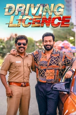 Driving Licence 2019 Hindi (HQ-Dub) –